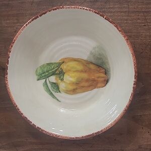 EUC Williams Sonoma Jardin Potager Tomatoes 9" Pasta Bowl